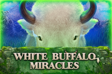 White Buffalo Miracles