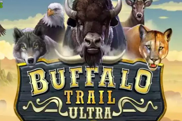 Buffalo Trail Ultra