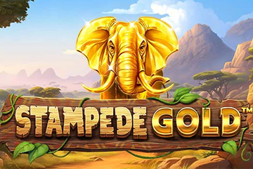 Stampede Gold