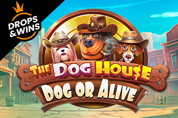 The Dog House - Dog or Alive